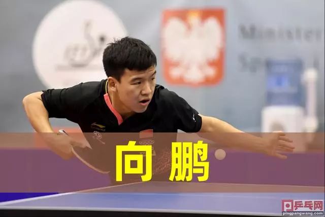 迫使教练组